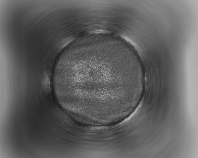 X0000095951305200801251122