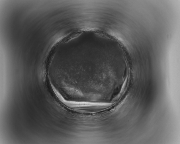 X0000095951306200801251122