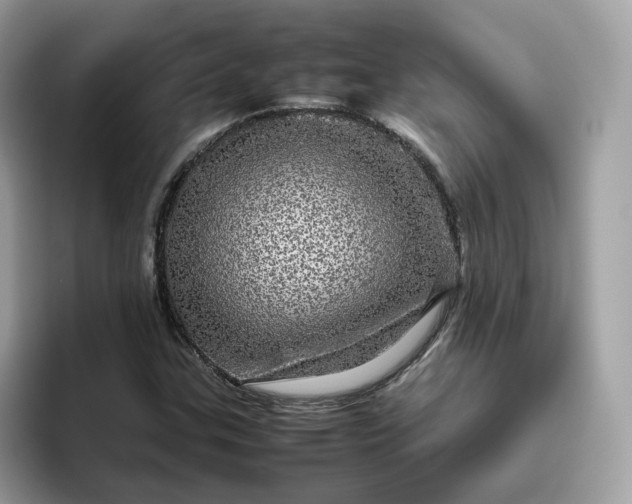 X0000095951307200801251122