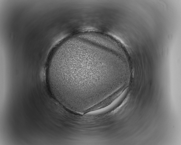 X0000095951309200801251122