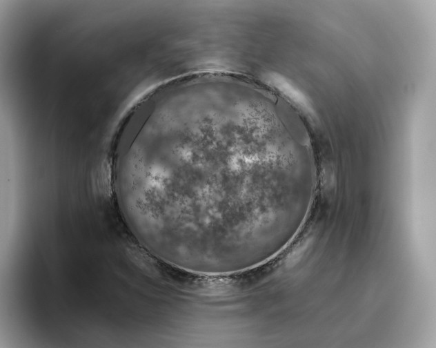 X0000095951310200801251122