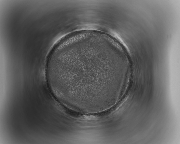 X0000095951312200801251122