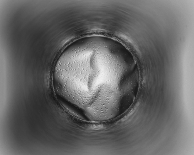 X0000095951313200801251122