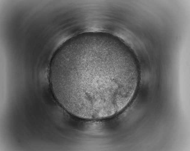 X0000095951314200801251122