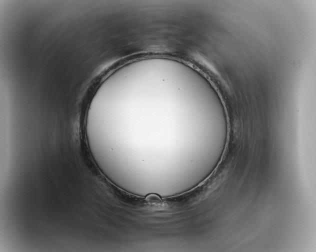 X0000095951315200801251122