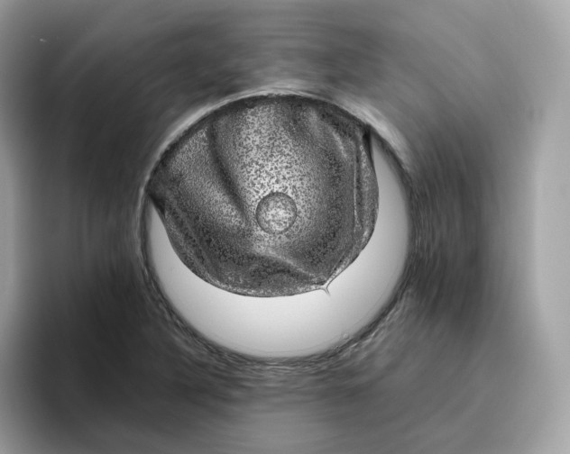 X0000095951316200801251122