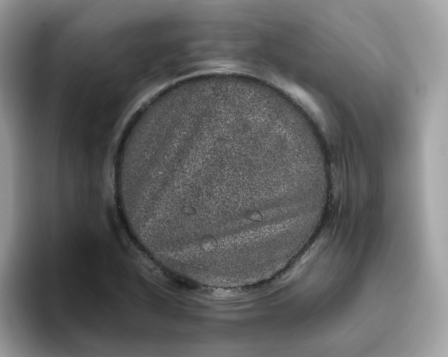 X0000095951318200801251122