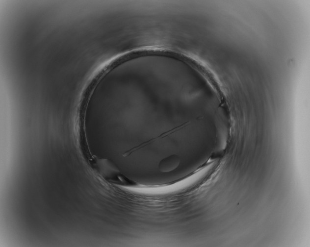 X0000095951319200801251122