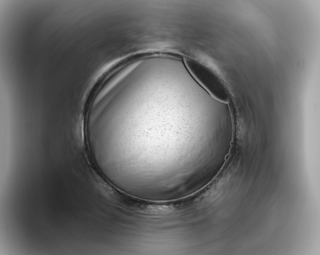 X0000095951320200801251122