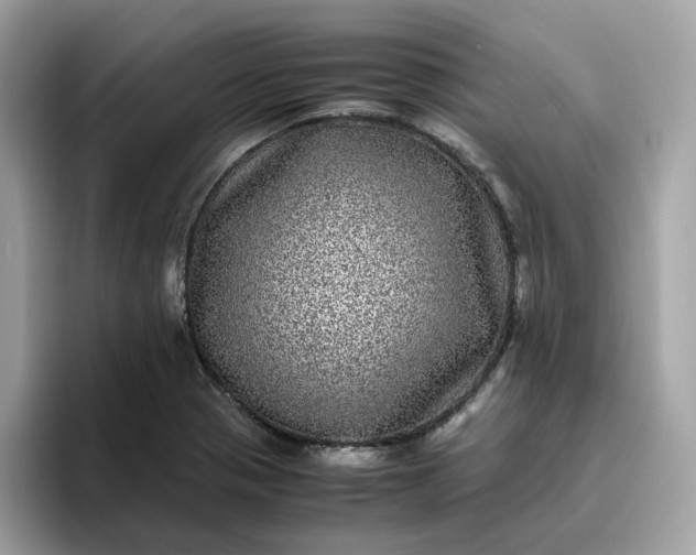 X0000095951321200801251122