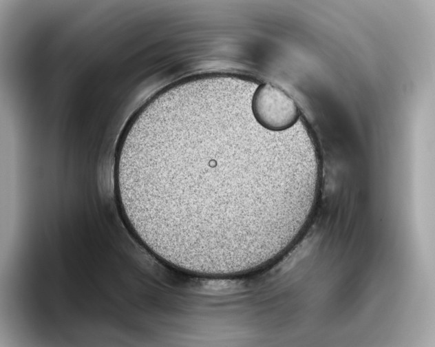 X0000095951322200801251122