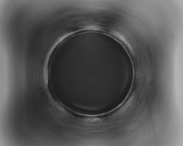 X0000095951323200801251122