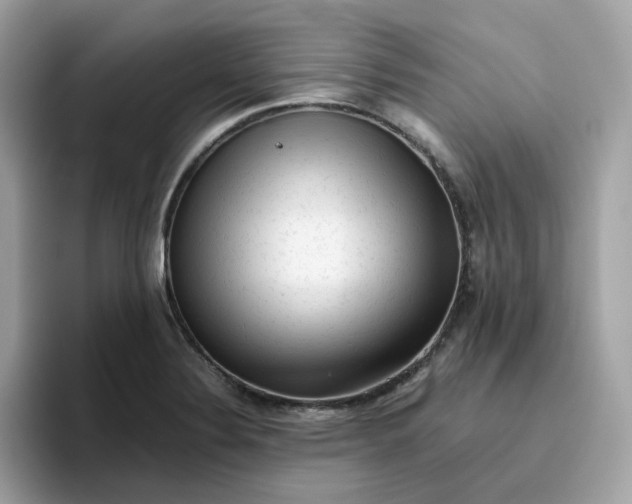 X0000095951324200801251122