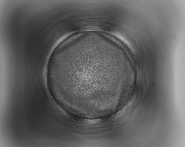 X0000095951325200801251122