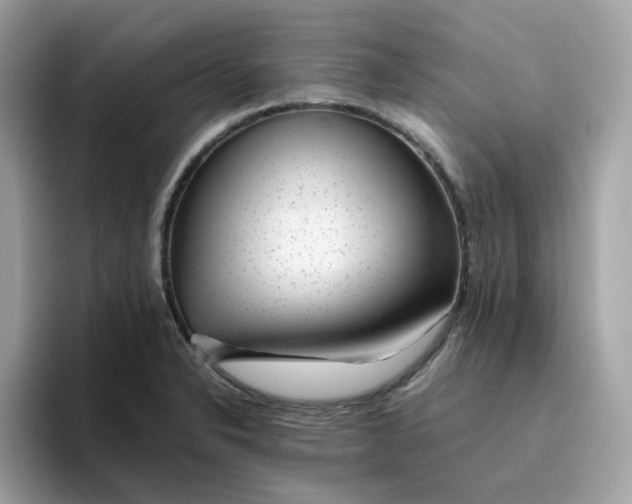 X0000095951326200801251122