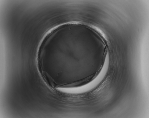 X0000095951327200801251122