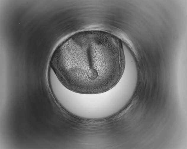 X0000095951328200801251122