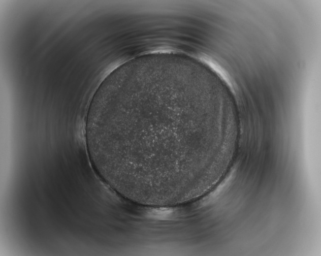 X0000095951329200801251122