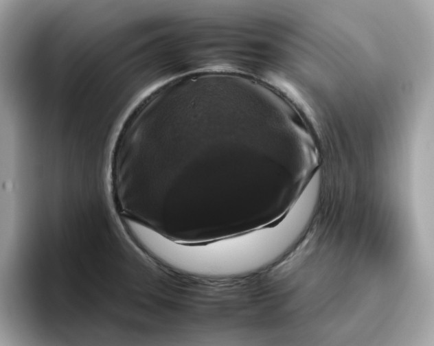 X0000095951331200801251122