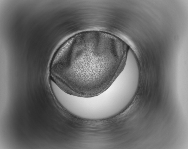 X0000095951332200801251122