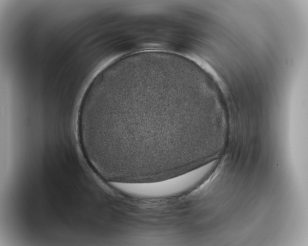 X0000095951333200801251122