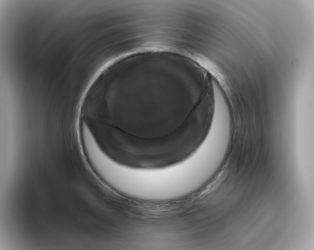 X0000095951334200801251122