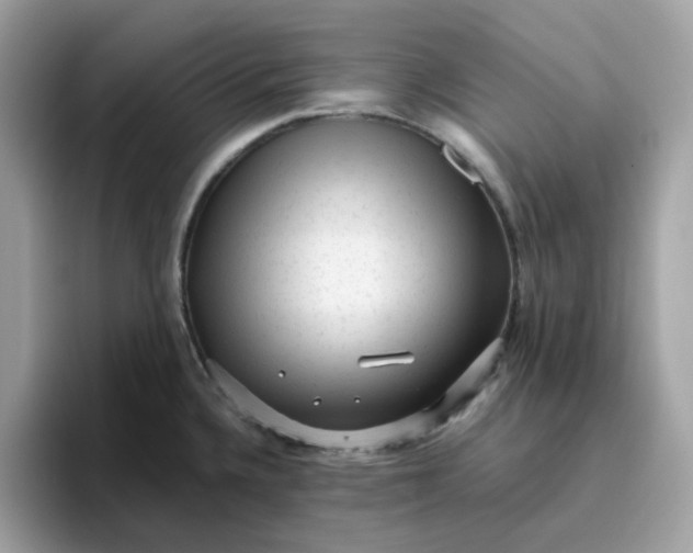 X0000095951336200801251122