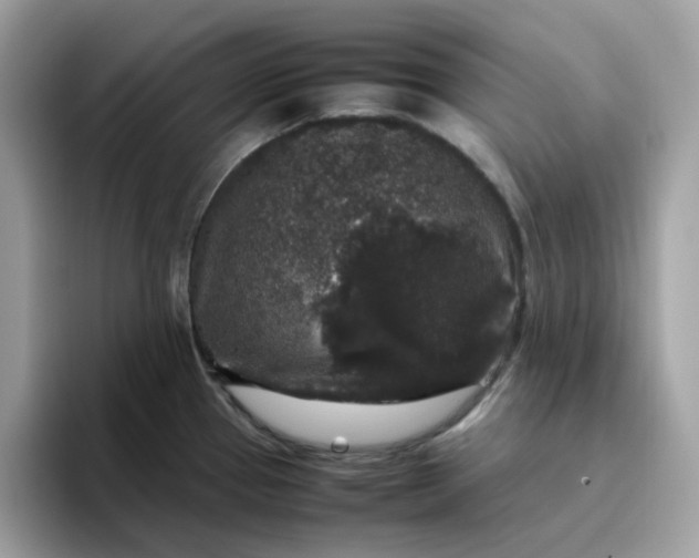 X0000095951337200801251122