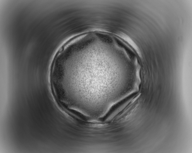 X0000095951339200801251122