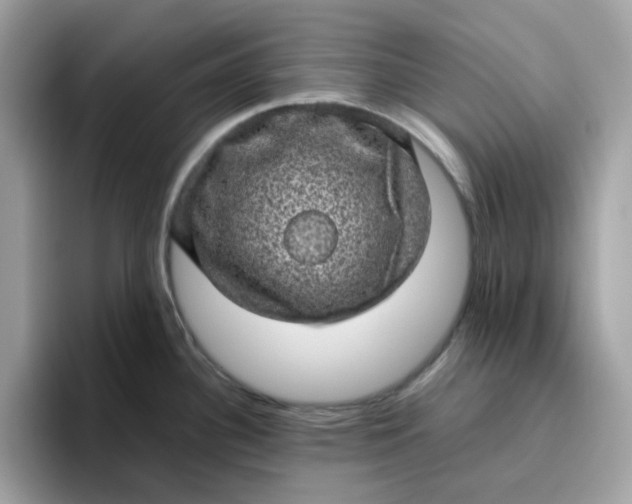 X0000095951340200801251122