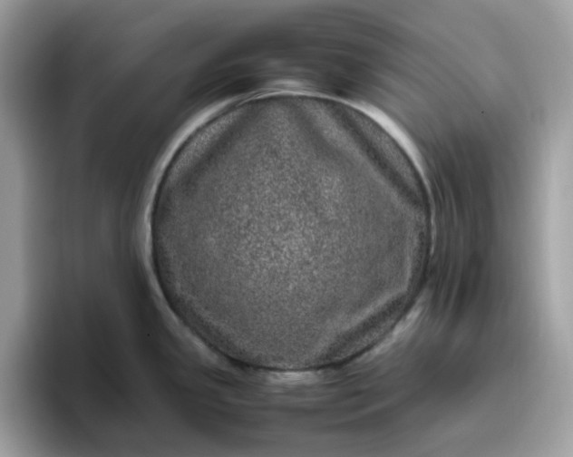 X0000095951341200801251122