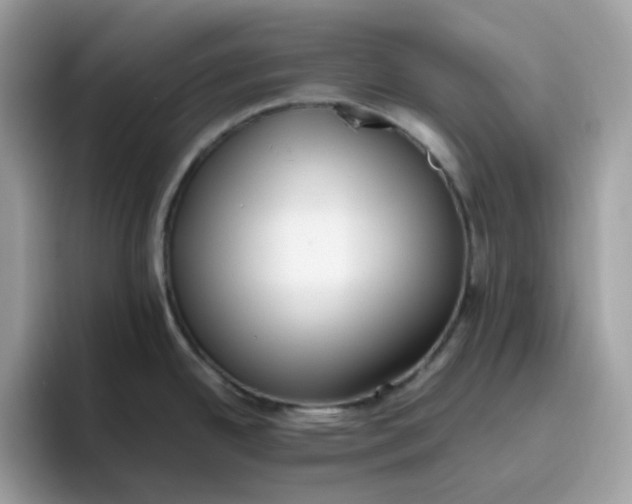 X0000095951342200801251122