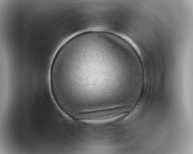 X0000095951343200801251122