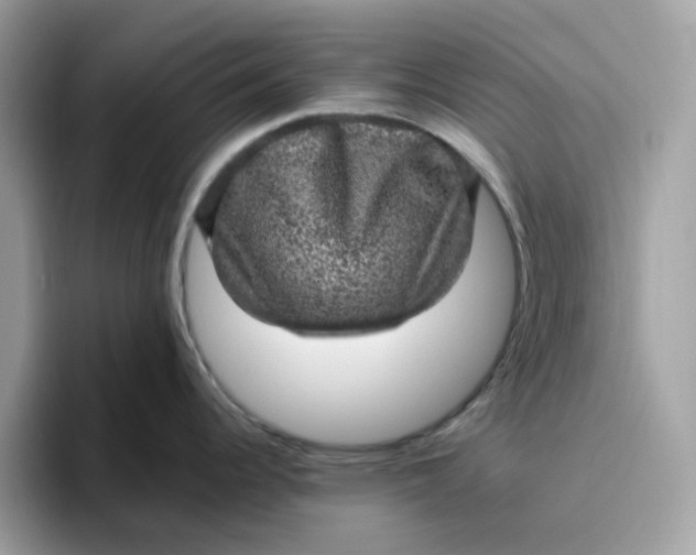 X0000095951344200801251122