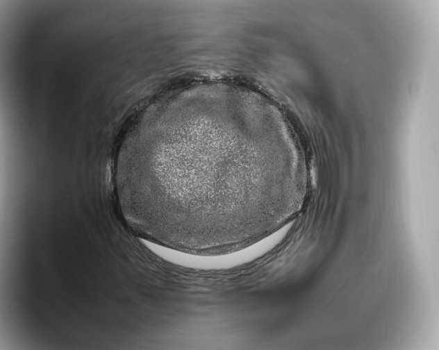 X0000095951347200801251122