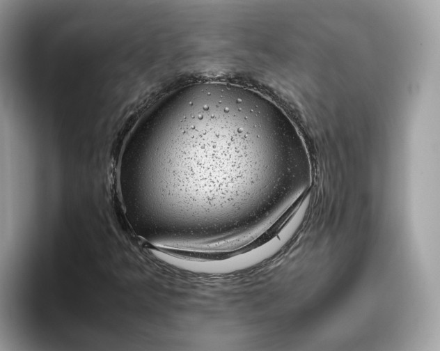 X0000095951349200801251122