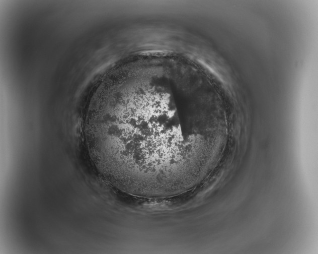 X0000095951351200801251122