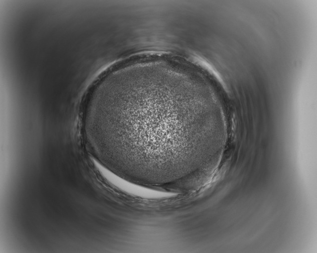 X0000095951352200801251122