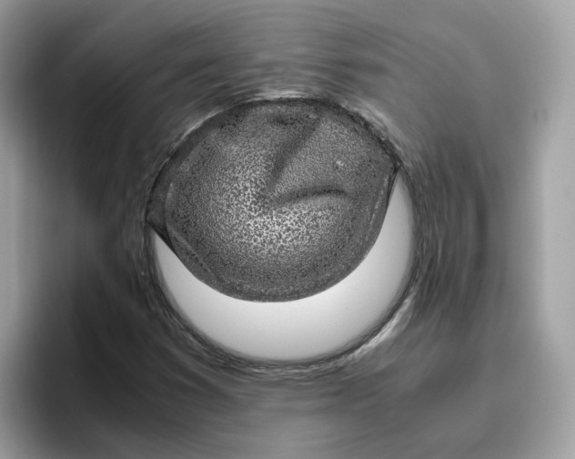 X0000095951353200801251122