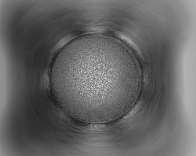 X0000095951354200801251122