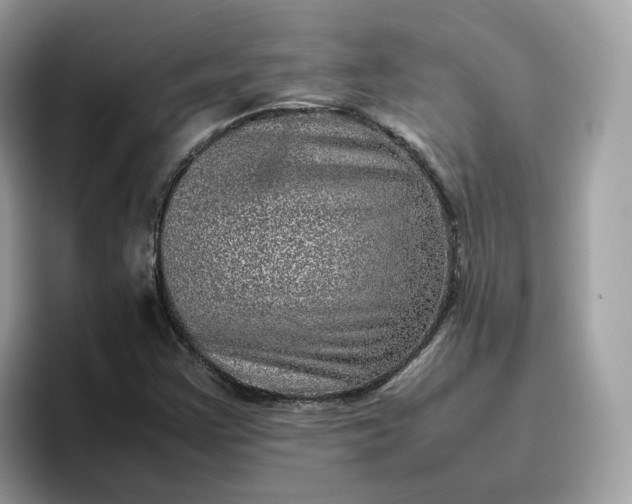 X0000095951355200801251122