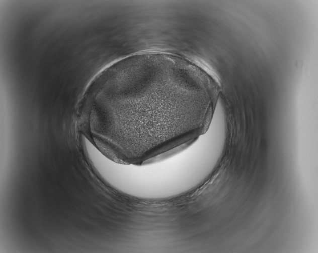 X0000095951356200801251122