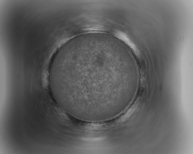 X0000095951357200801251122