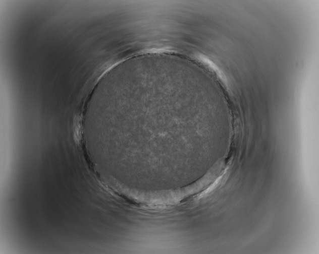 X0000095951361200801251121