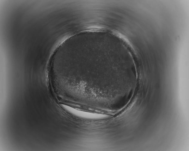 X0000095951362200801251121