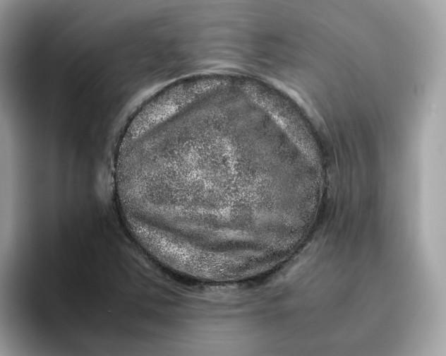 X0000095951363200801251121