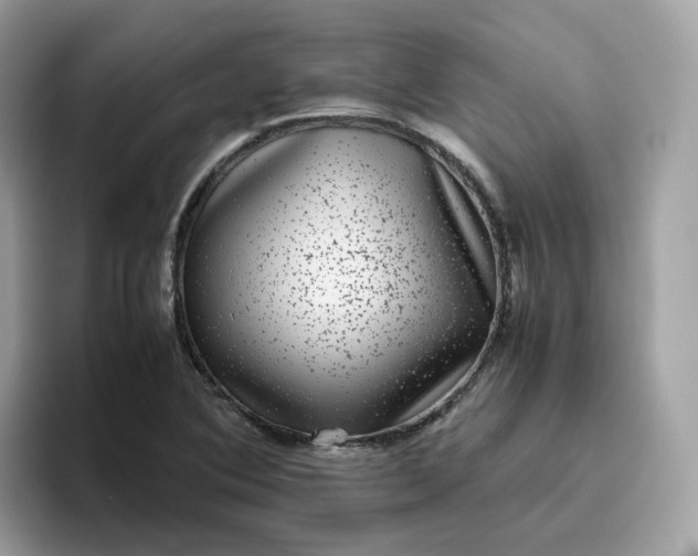 X0000095951364200801251121