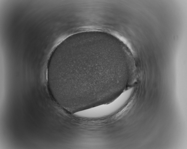 X0000095951365200801251121