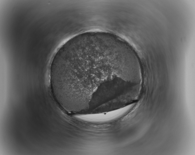 X0000095951367200801251121