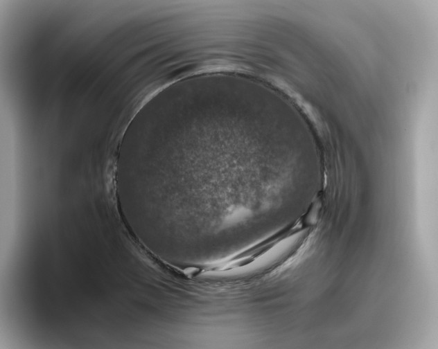 X0000095951369200801251121